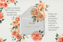 Blush &amp; Peach Watercolor Roses Clipart BUNDLE PNG. Product Image 4