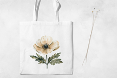 Ivory &amp; Dusty Blue Anemone Flowers, Watercolor Clipart PNG. Product Image 6