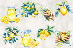 Vibrant Lemon Stickers Bundles , Citrus Illustrations Product Image 4