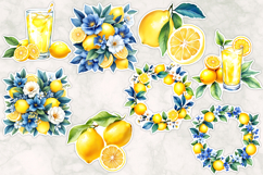 Vibrant Lemon Stickers Bundles , Citrus Illustrations Product Image 6