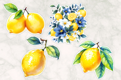 Vibrant Lemon Stickers Bundles , Citrus Illustrations Product Image 7