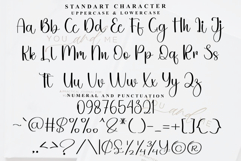 Bundle Product Image 5