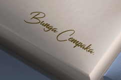 Bunga Cempaka Font Product Image 3