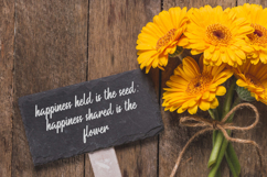 Bunga Cempaka Font Product Image 7