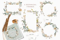 Floral frames illustrations 