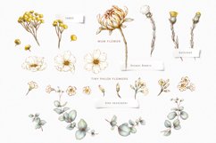 Hand drawn flowers illustrations