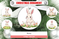 Ornament Spring Bunny Product Image 1