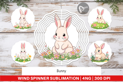 Wind Spinner Spring Bunny Product Image 1