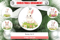 Ornament Spring Bunny Product Image 1