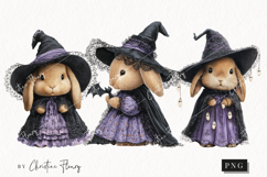 Whimsical Witch Bunny | Halloween PNG Product Image 1