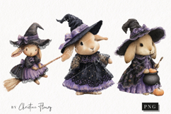 Whimsical Witch Bunny | Halloween PNG Product Image 1