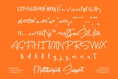 Buntic Regal - Bold Handwritten Font Product Image 19