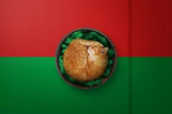 Backgrounds for Photography & Marketing. Burkina Faso Product Image 8