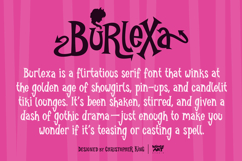 Burlexa: A Devilishly Good Serif Font Product Image 2