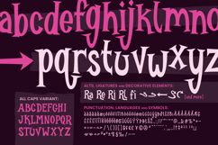 Burlexa: A Devilishly Good Serif Font Product Image 4