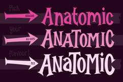 Burlexa: A Devilishly Good Serif Font Product Image 8