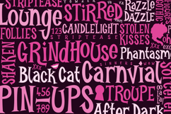 Burlexa: A Devilishly Good Serif Font Product Image 13