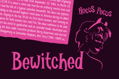 Burlexa: A Devilishly Good Serif Font Product Image 15