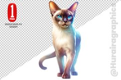 Burmese Cat Clipart - PNG File Product Image 1