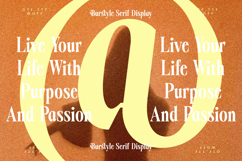 Burstyle - Modern Display Serif Product Image 6