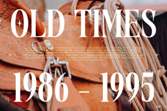 Burstyle - Modern Display Serif Product Image 7