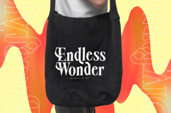 Burstyle - Modern Display Serif Product Image 12