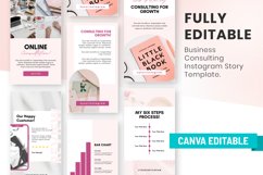 Business Consultant Instagram Canva Story Templates Product Image 4