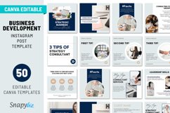 Business Development Instagram Posts for Canva Product Image 1