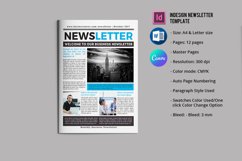 Business Newsletter, Canva, MS Word &amp; Indesign Template Product Image 1
