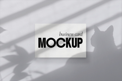 Minimalist Business Card Mockup Template Product Image 1