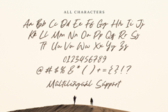 Busted Horizon - Modern Calligraphy Font Product Image 6