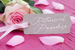 Buterlife Majestic - Elegant Handwritten Script Product Image 11