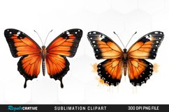 Butterfly Illustration PNG Clipart Product Image 1