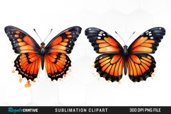 Butterfly Illustration PNG Clipart Product Image 1