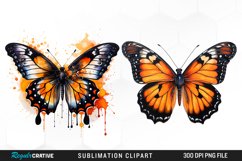 Butterfly Illustration PNG Clipart Product Image 1
