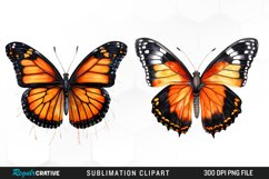 Butterfly Illustration PNG Clipart Product Image 1