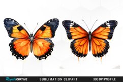 Butterfly Illustration PNG Clipart Product Image 1