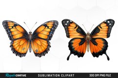 Butterfly Illustration PNG Clipart Product Image 1