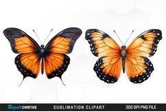 Butterfly Illustration PNG Clipart Product Image 1