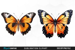 Butterfly Illustration PNG Clipart Product Image 1