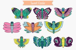 Hand Drawn Colored Butterflies | Moth | Insect | Flying Bugs Product Image 4