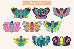 Hand Drawn Colored Butterflies | Moth | Insect | Flying Bugs Product Image 3