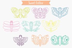 Hand Drawn Colored Butterflies | Moth | Insect | Flying Bugs Product Image 9