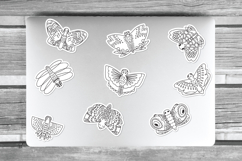 Hand Drawn Butterflies | Moth | Insect | Flying Bugs Product Image 6