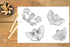Hand Drawn Butterflies | Moth | Insect | Flying Bugs Product Image 8