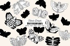 Hand Drawn Butterflies | Moth | Insect | Flying Bugs Product Image 1