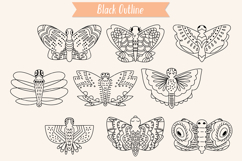 Hand Drawn Butterflies | Moth | Insect | Flying Bugs Product Image 2