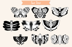 Hand Drawn Butterflies | Moth | Insect | Flying Bugs Product Image 3