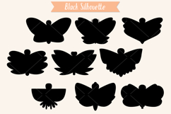 Hand Drawn Butterflies | Moth | Insect | Flying Bugs Product Image 4