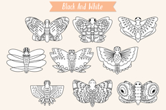 Hand Drawn Butterflies | Moth | Insect | Flying Bugs Product Image 5